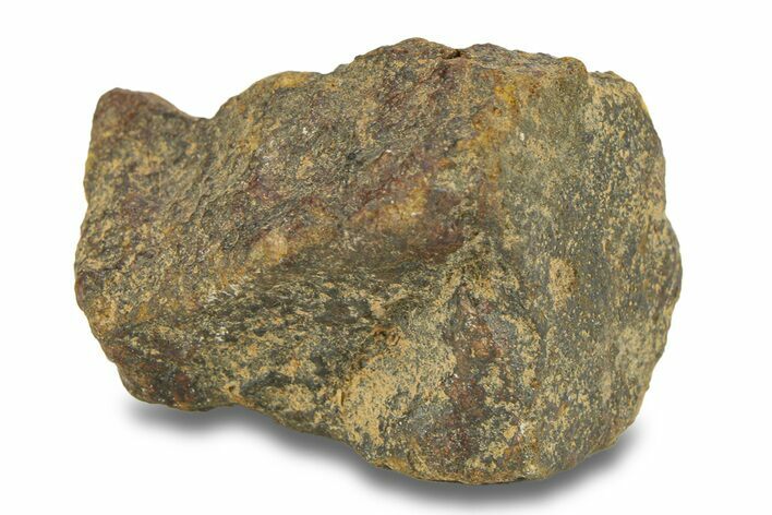 Gold Basin Chondrite Meteorite ( g) - Arizona #282787